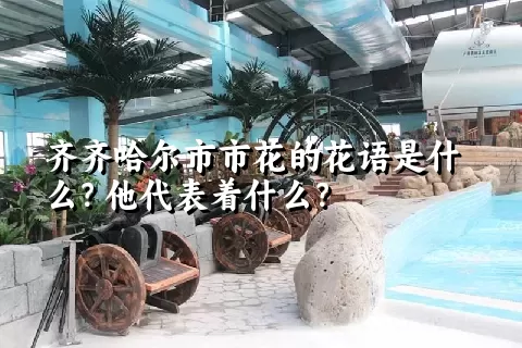 齐齐哈尔市市花的花语是什么？他代表着什么？