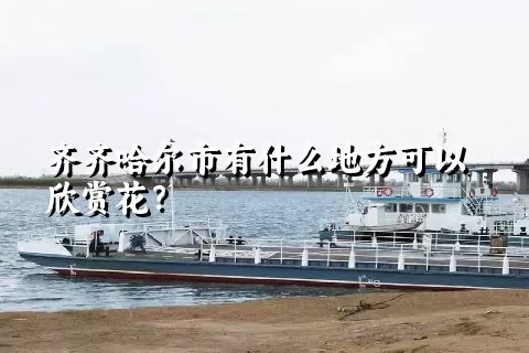 齐齐哈尔市有什么地方可以欣赏花？