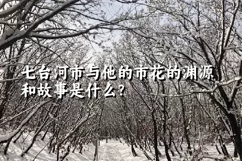 七台河市与他的市花的渊源和故事是什么？