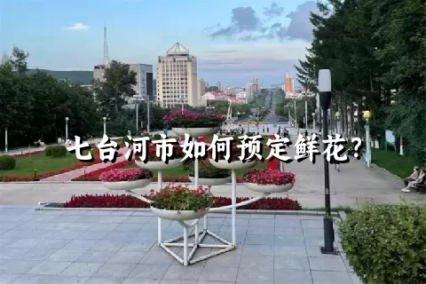 七台河市如何预定鲜花？