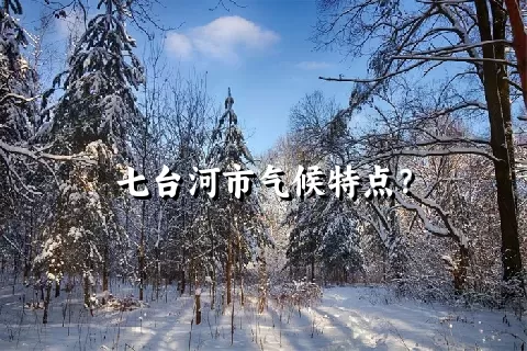 七台河市气候特点？