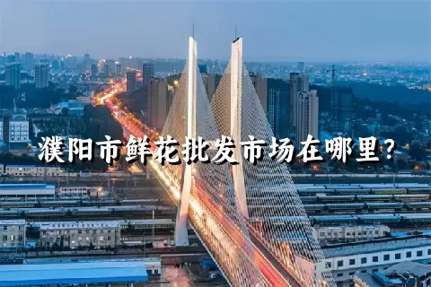 濮阳市鲜花批发市场在哪里？