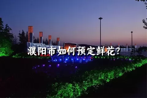 濮阳市如何预定鲜花？