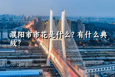 濮阳市市花是什么？有什么典故？