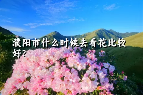 濮阳市什么时候去看花比较好？