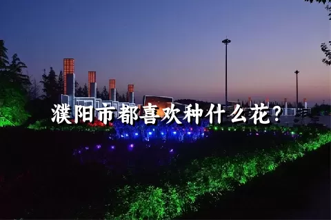 濮阳市都喜欢种什么花？