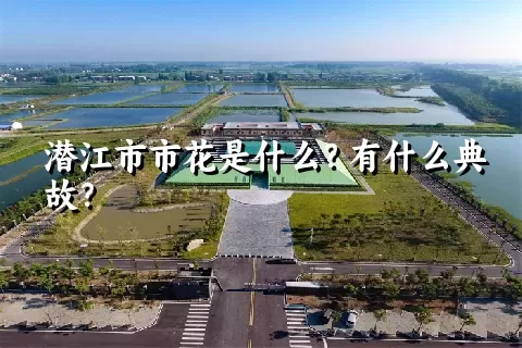 潜江市市花是什么？有什么典故？