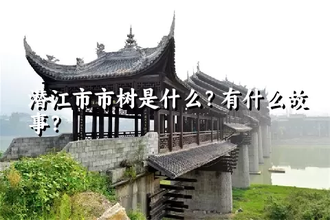 潜江市市树是什么？有什么故事？