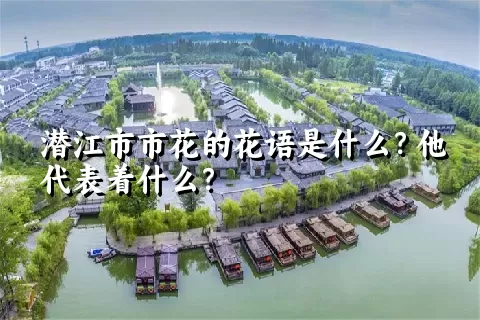 潜江市市花的花语是什么？他代表着什么？