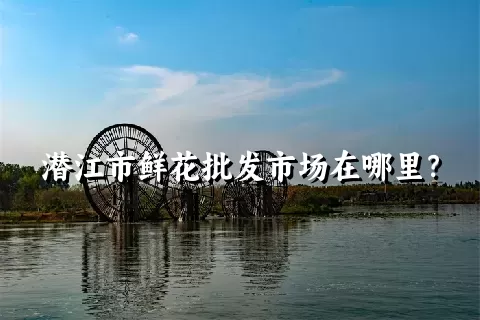 潜江市鲜花批发市场在哪里？