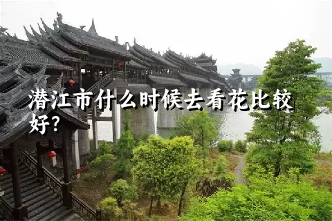 潜江市什么时候去看花比较好？