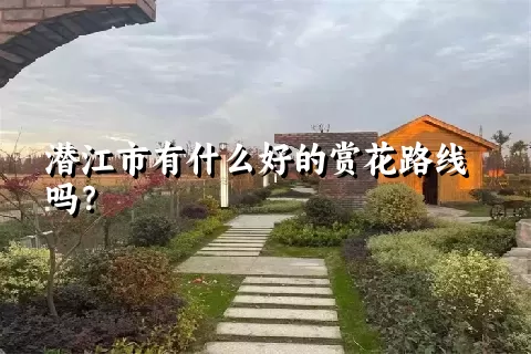 潜江市有什么好的赏花路线吗？