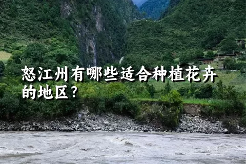 怒江州有哪些适合种植花卉的地区？