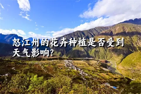 怒江州的花卉种植是否受到天气影响？