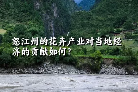 怒江州的花卉产业对当地经济的贡献如何？