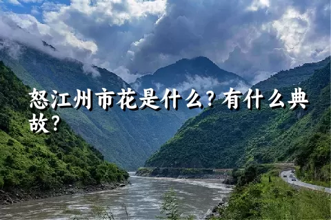 怒江州市花是什么？有什么典故？