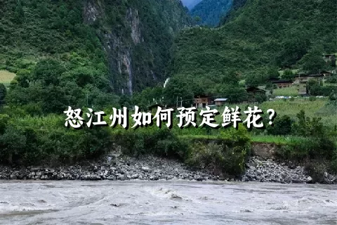 怒江州如何预定鲜花？