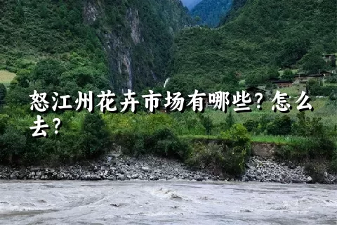 怒江州花卉市场有哪些？怎么去？