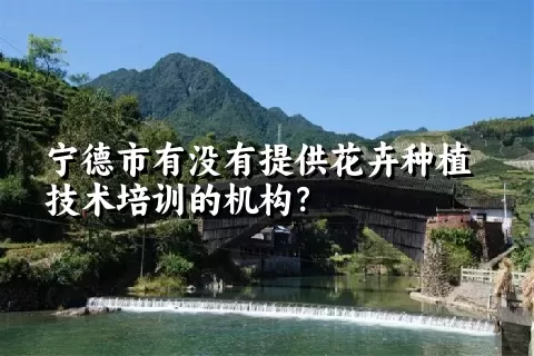 宁德市有没有提供花卉种植技术培训的机构？