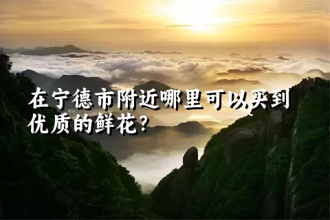 在宁德市附近哪里可以买到优质的鲜花？