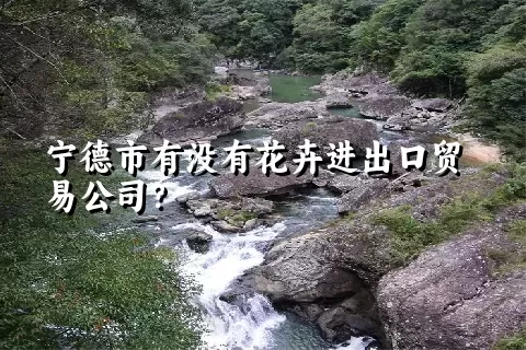 宁德市有没有花卉进出口贸易公司？