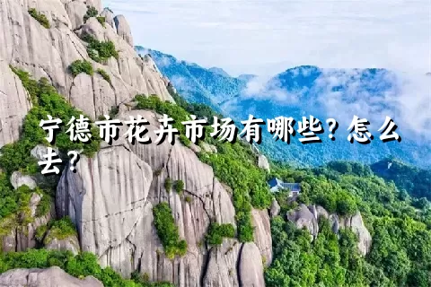 宁德市花卉市场有哪些？怎么去？