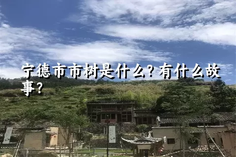 宁德市市树是什么？有什么故事？