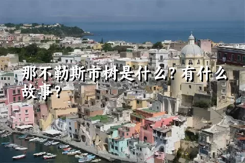 那不勒斯市树是什么？有什么故事？