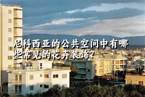 尼科西亚的公共空间中有哪些常见的花卉装饰？