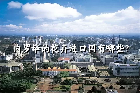 内罗毕的花卉进口国有哪些？