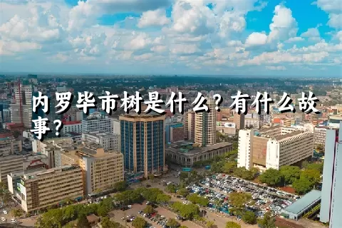 内罗毕市树是什么？有什么故事？