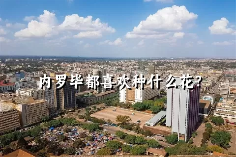 内罗毕都喜欢种什么花？