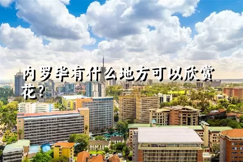 内罗毕有什么地方可以欣赏花？