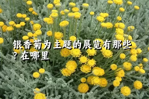 银香菊为主题的展览有那些？在哪里