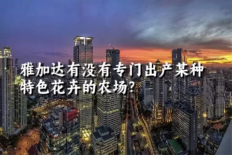 雅加达有没有专门出产某种特色花卉的农场？