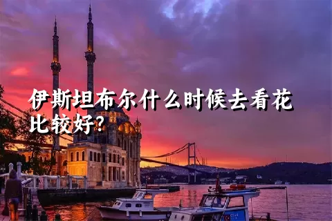 伊斯坦布尔什么时候去看花比较好？