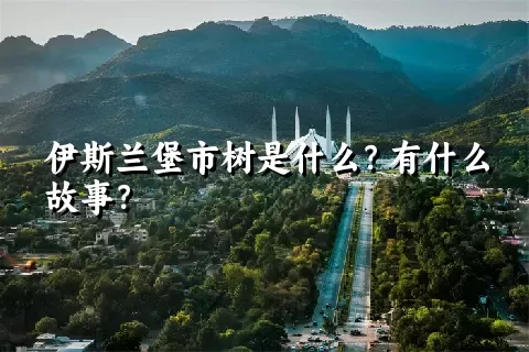 伊斯兰堡市树是什么？有什么故事？