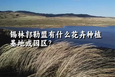 锡林郭勒盟有什么花卉种植基地或园区？