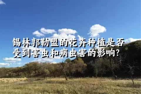 锡林郭勒盟的花卉种植是否受到害虫和病虫害的影响？