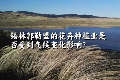 锡林郭勒盟的花卉种植业是否受到气候变化影响？