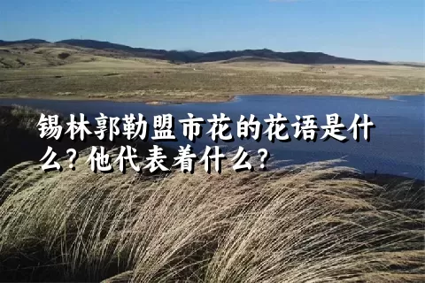 锡林郭勒盟市花的花语是什么？他代表着什么？