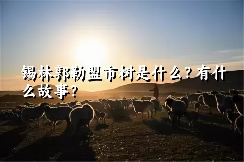 锡林郭勒盟市树是什么？有什么故事？