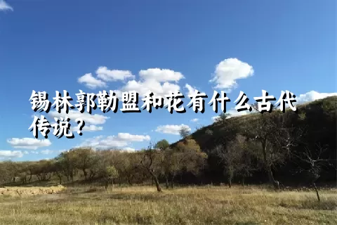 锡林郭勒盟和花有什么古代传说？