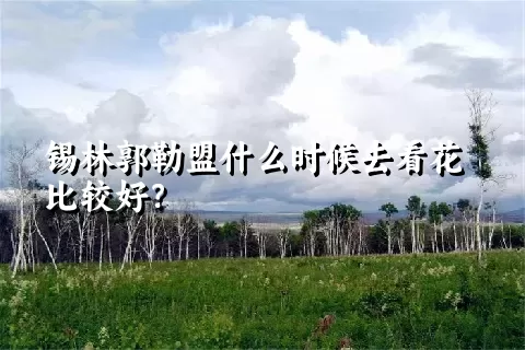 锡林郭勒盟什么时候去看花比较好？