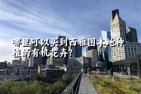 哪里可以买到西雅图本地种植的有机花卉？