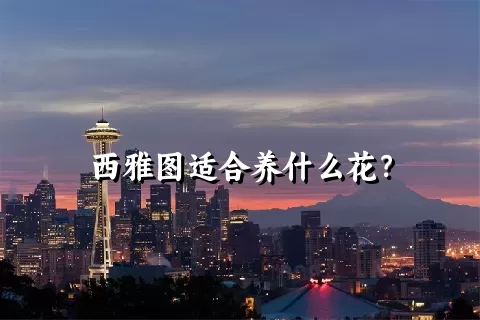 西雅图适合养什么花？