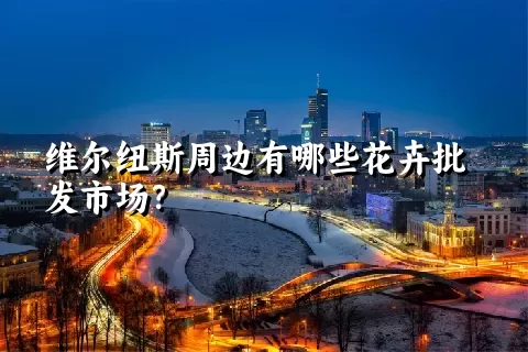 维尔纽斯周边有哪些花卉批发市场？