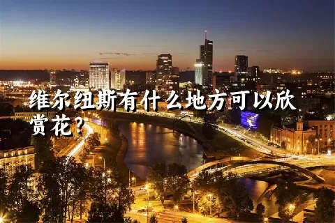 维尔纽斯有什么地方可以欣赏花？