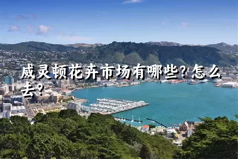 威灵顿花卉市场有哪些？怎么去？