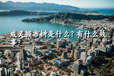 威灵顿市树是什么？有什么故事？